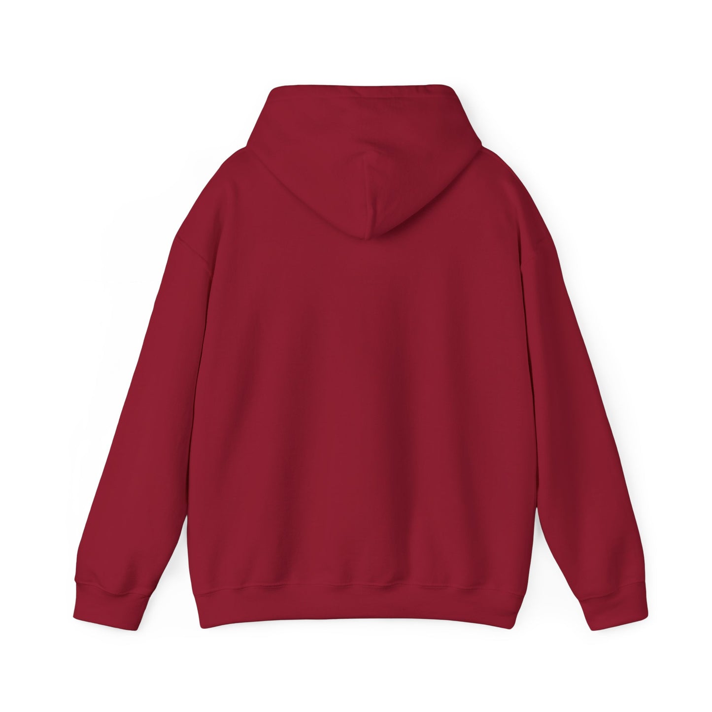 Nailed It Again Hoodie